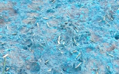 Kako funkcioniše hidrosetva?