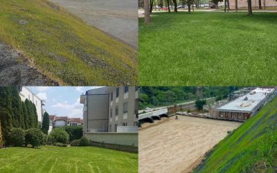 Prednosti Hidrosetve